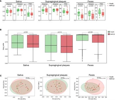 Mapping the human oral and gut fungal microbiota in patients with metabolic dysfunction-associated fatty liver disease